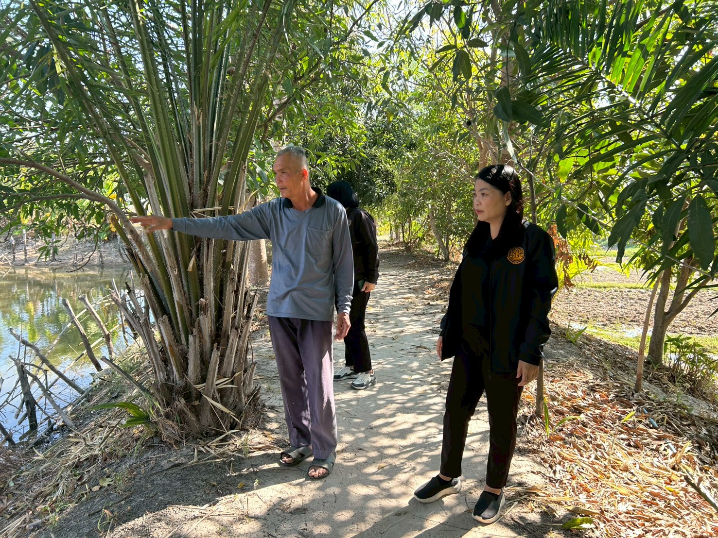 title - ส.ป.ก.ยโสธร ตรวจเยี่ยมเกษตรกรกลุ่มแปลงใหญ่สมุนไพรและเกษตรกรวิสาหกิจชุมชนแปรรูปข้าวเกษตรอินทรีย์บ้านโนนยาง ในเขตปฏิรูปที่ดิน ในพื้นที่ตำบลคำน้ำสร้าง และตำบลกำแมด อำเภอกุดชุม จังหวัดยโสธร 